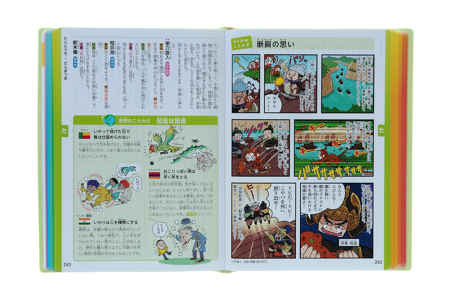 楽天ブックス 新レインボー小学ことわざ 四字熟語辞典 改訂第2版 オールカラー 金田一秀穂 本 楽天ブックス 新レインボー小学ことわざ 四字熟語辞典 改訂第2版 オールカラー 金田一秀穂 本